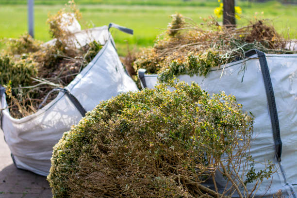Best Mattress Removal Service  in Carrizozo, NM