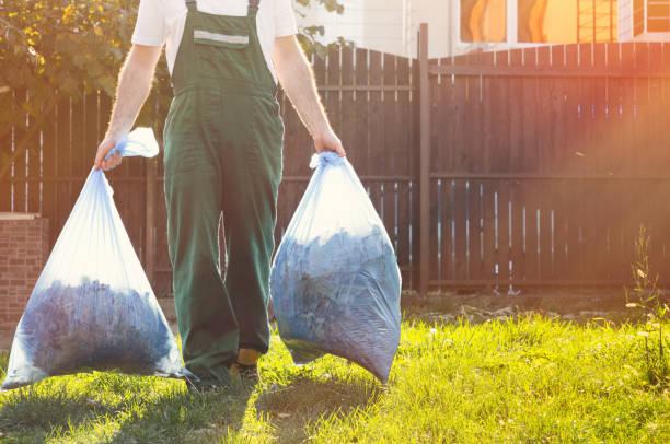 Basement Cleanout Services in Carrizozo, NM
