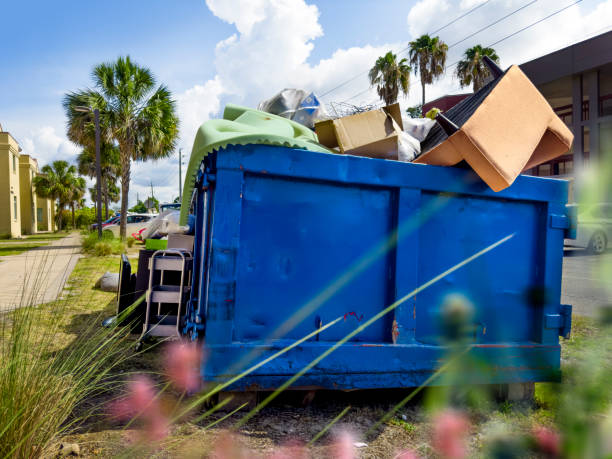 Best Attic Cleanout Services  in Carrizozo, NM